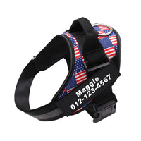 Adjustable Pet Harness Vest with Leash Hook