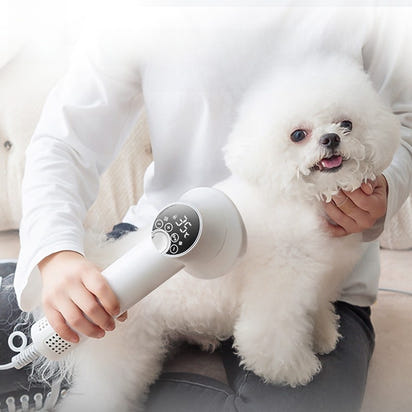 Pet Hair Dryer with Comb Attachment