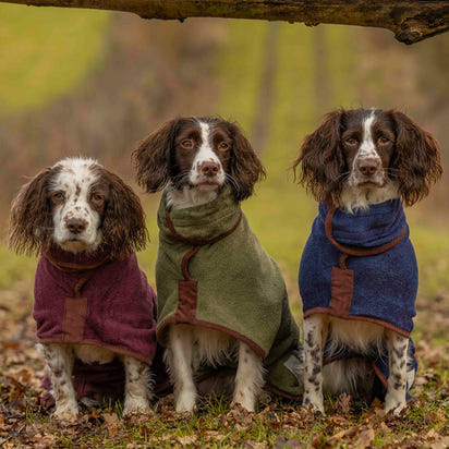 Dog and Cat Quick-Drying Bathrobe