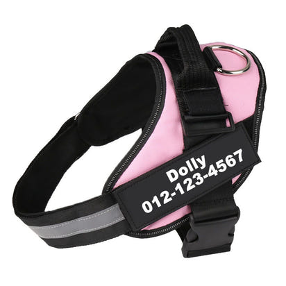 Adjustable Pet Harness Vest with Leash Hook
