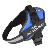 Adjustable Pet Harness Vest with Leash Hook