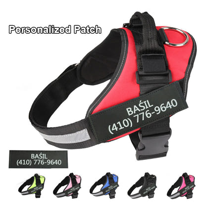 Adjustable Pet Harness Vest with Leash Hook