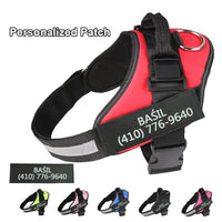 Adjustable Pet Harness Vest with Leash Hook