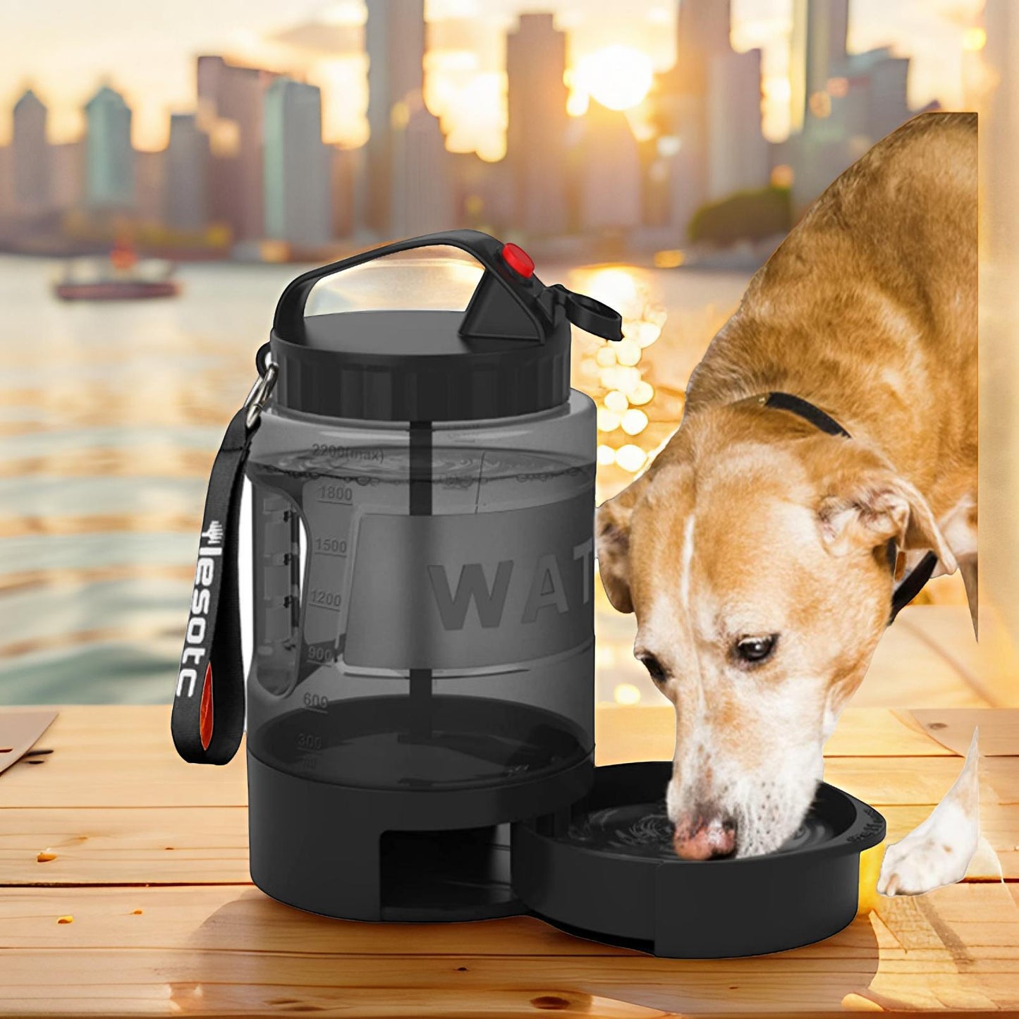 2.2L Dog Kettle