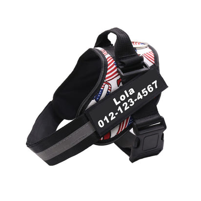 Adjustable Pet Harness Vest with Leash Hook