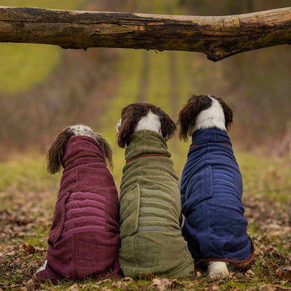 Dog and Cat Quick-Drying Bathrobe