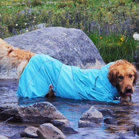 Large and medium-sized dog outdoor windbreaker
