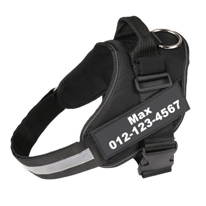 Adjustable Pet Harness Vest with Leash Hook