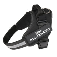 Adjustable Pet Harness Vest with Leash Hook