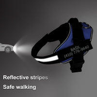 Adjustable Pet Harness Vest with Leash Hook