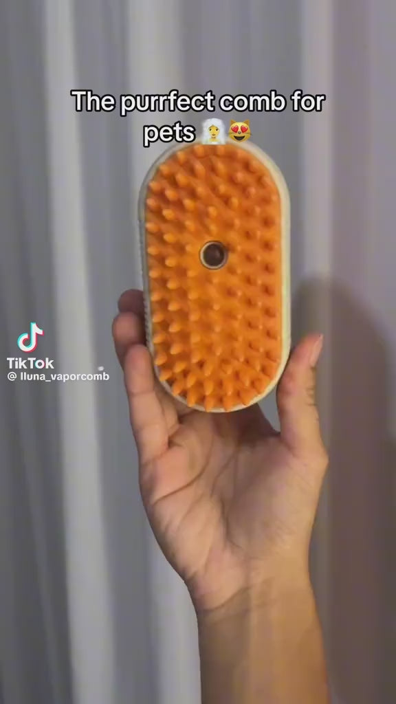 Pet Spray Massage Comb with One-Touch Function video