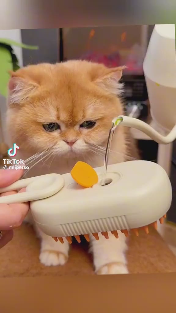 Pet Spray Massage Comb with One-Touch Function video